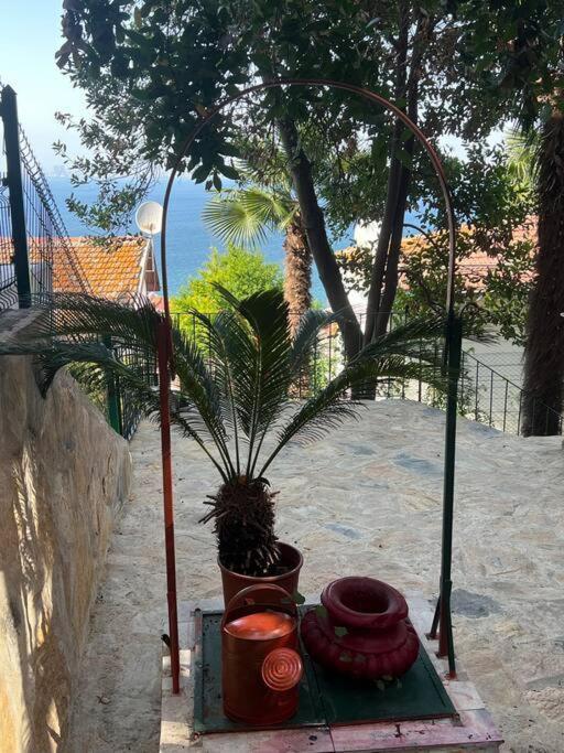 Bueyuekada Al Koesk Διαμέρισμα Πριγκηπονήσια Εξωτερικό φωτογραφία